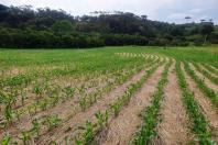 No Dia Nacional da Conservação do Solo, Paraná reforça compromisso com as boas práticas de manejo e comemora 40 anos da lei de preservação do solo